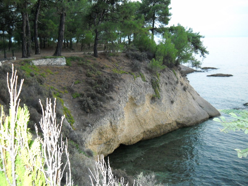 Slika