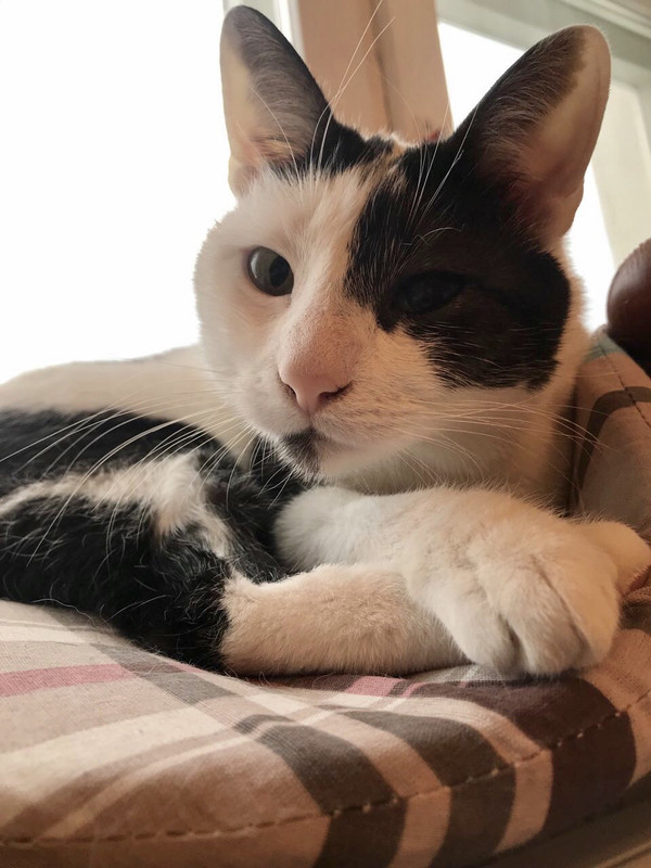 0049D4D2-E106-466C-A65A-AB2ABD08AA1E