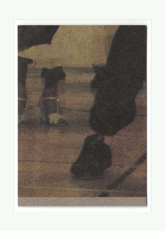 Picture 50 of 86