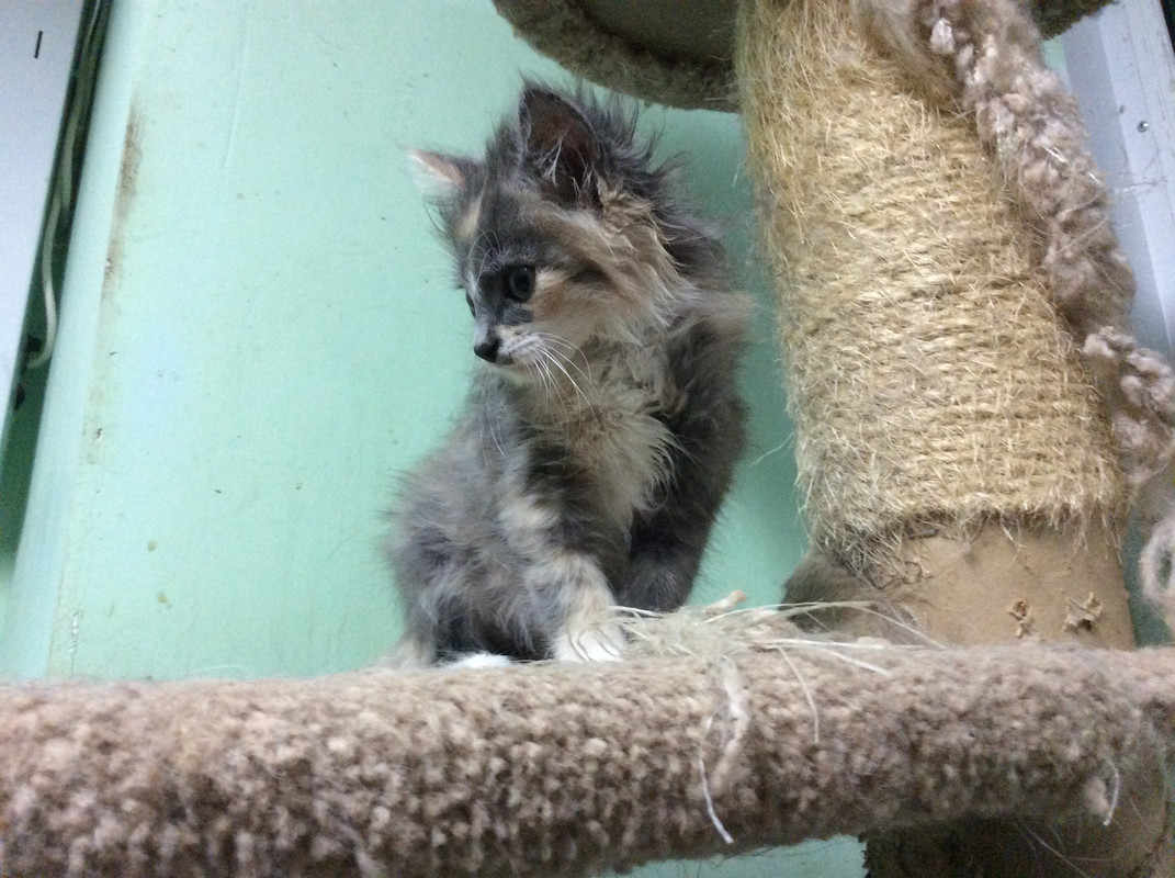 92805A82-3F22-4708-8476-B75943BB9D5C