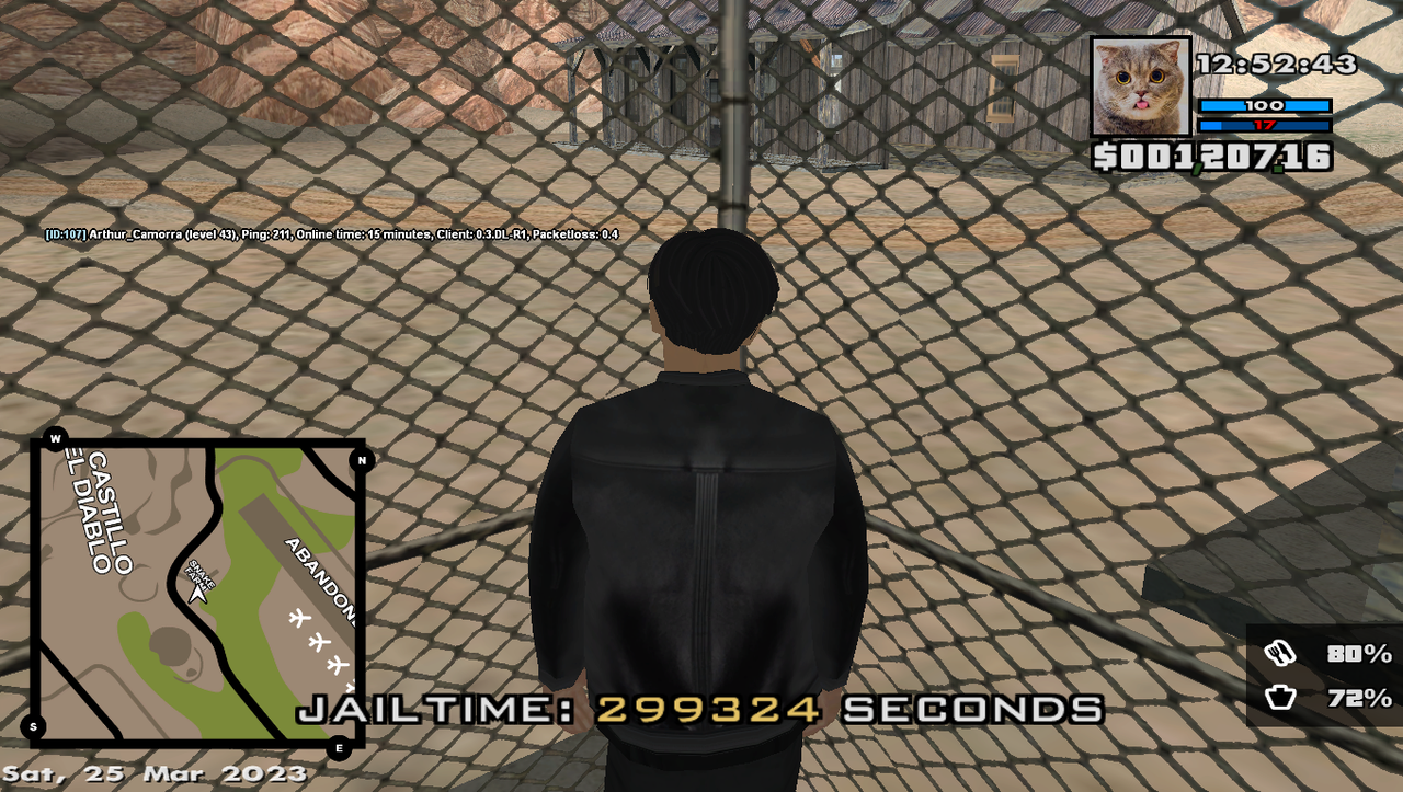 samp-25-03-2023-12-52-45.png
