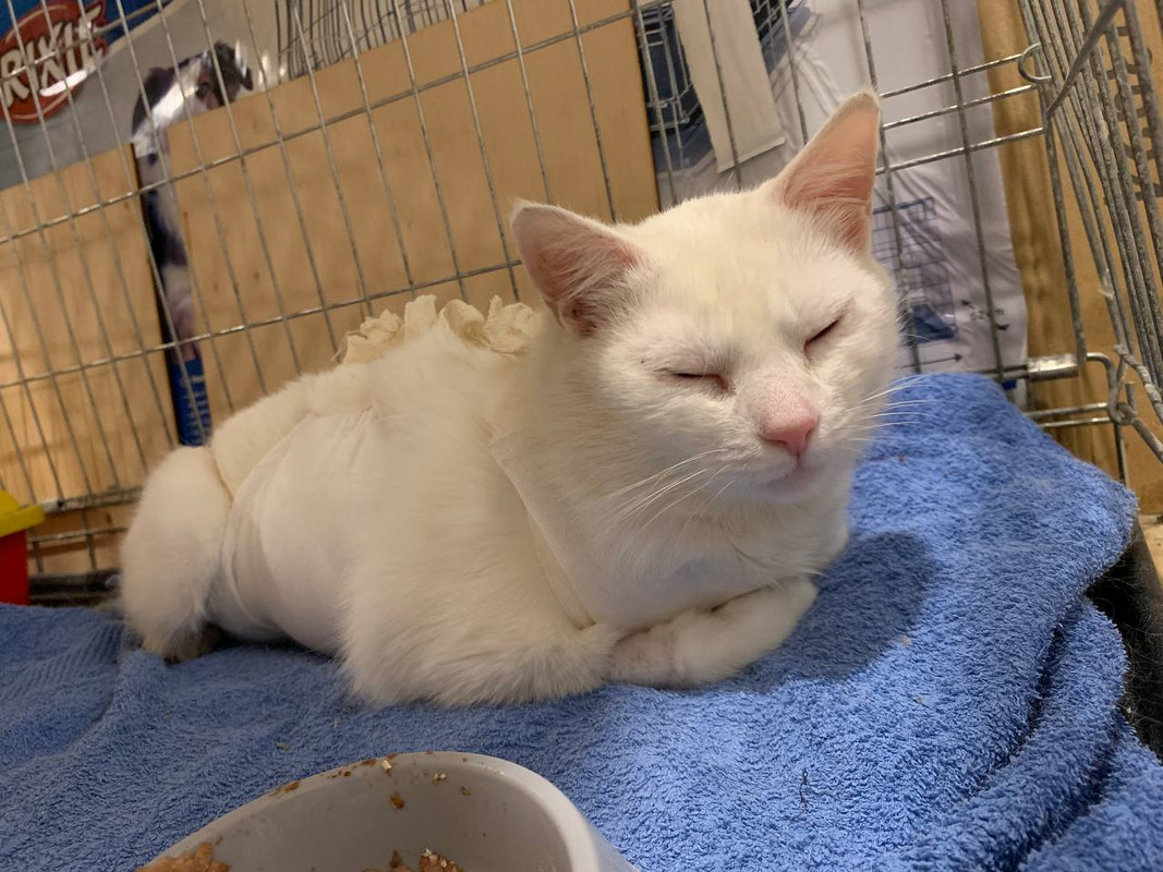 E0B3CB77-FA7F-4E9C-9A70-E133809A9D0B