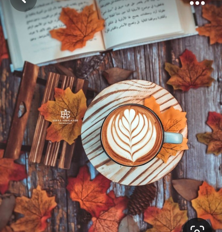 Screenshot_20231008_214314_Pinterest