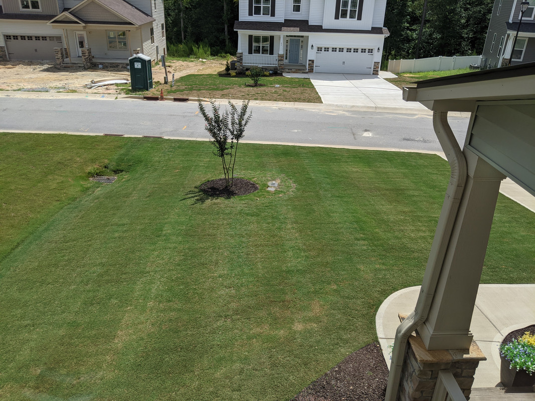 PXL_20200801_160620392.MP