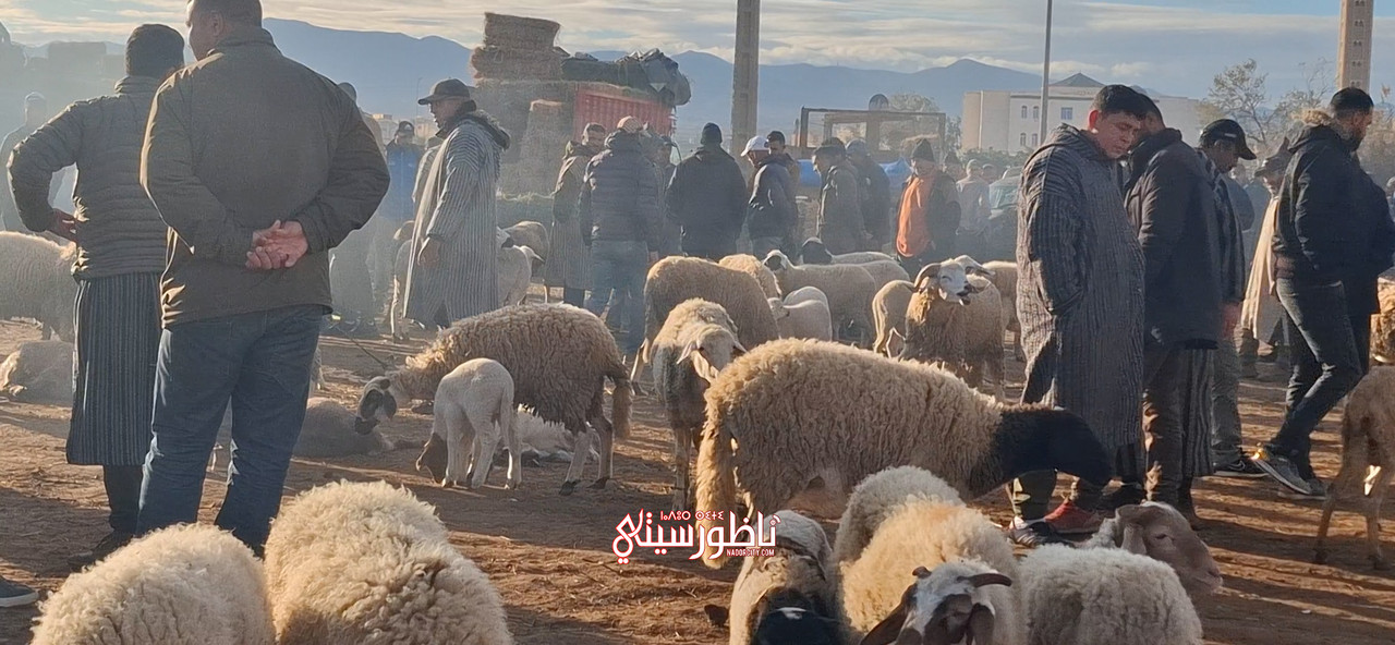 Sequence-02-00-00-27-27-Still004