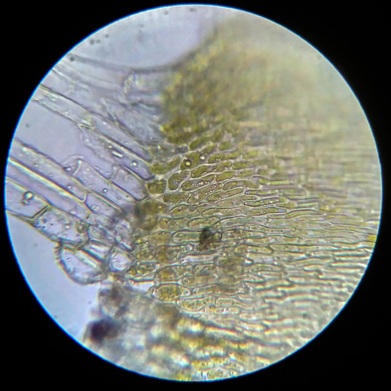 IMG 20250614 204655 HDR