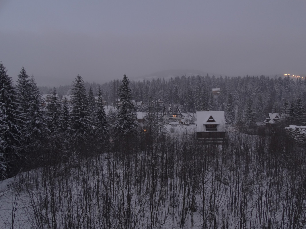 03.08 - DSC06223 (Czesio1)