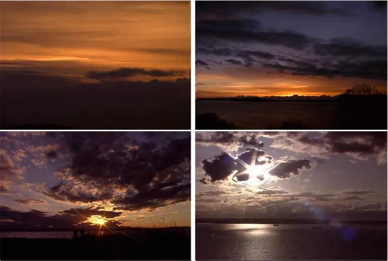 Fondos Con Movimiento Sd Transciones Fotogramas Adobe After Effects,Pinnacle Plus