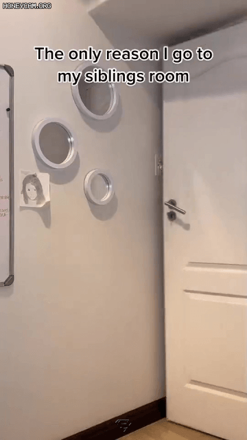 20210815215219-ktugxcow.gif
