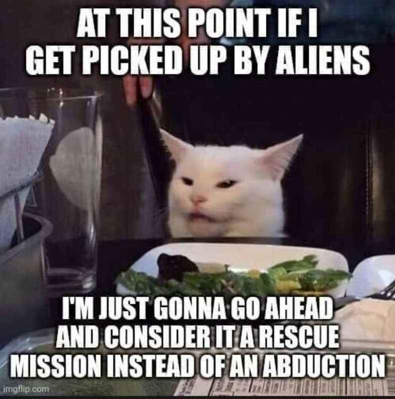 Screenshot 2026 04 18 at 08 55 46 Post a MEME Thread Page 5699 Yellow Bullet Forums