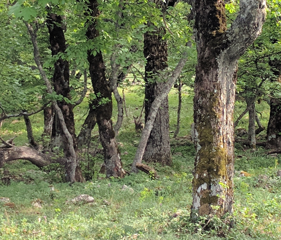 IMG_20180505_164409 - копия