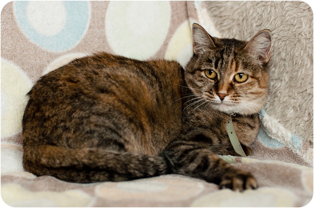 6FD1EF92-486C-48D1-AAE8-917FDA84BCFA