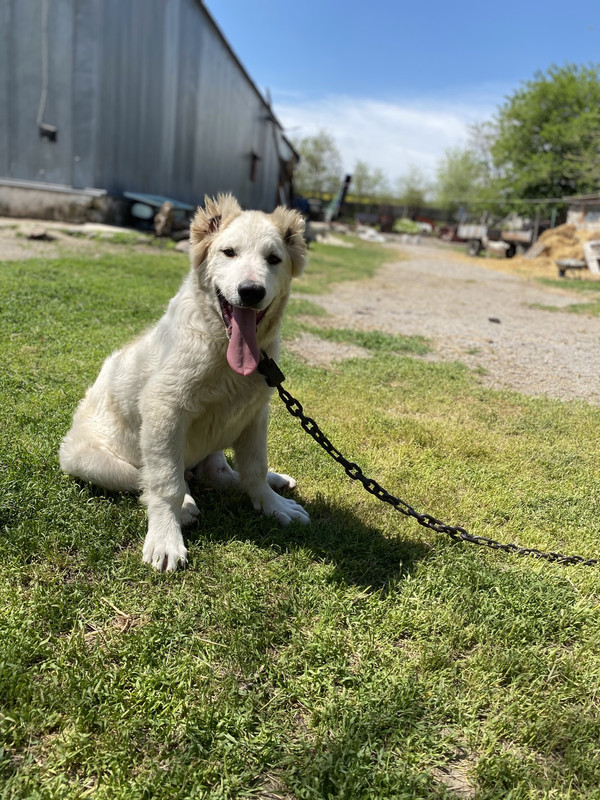 222E2692-43CE-434A-A7B7-977FB6EBA5AA