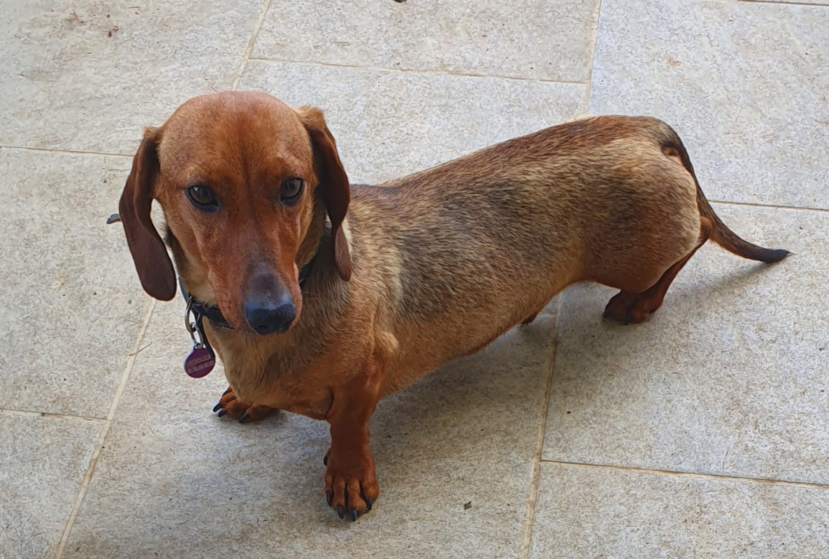 [Image: 20220612-175620.jpg]