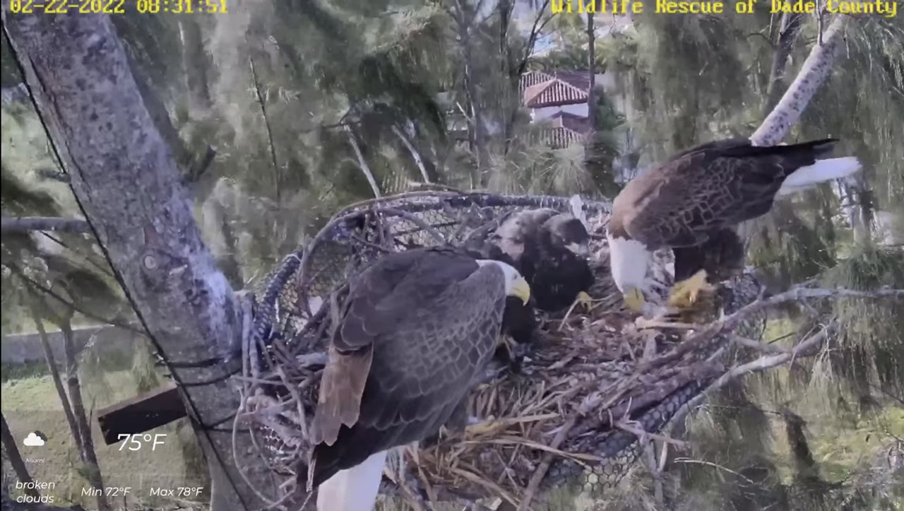 5D782F00-8712-4E94-A2BC-9A6D2078DF25