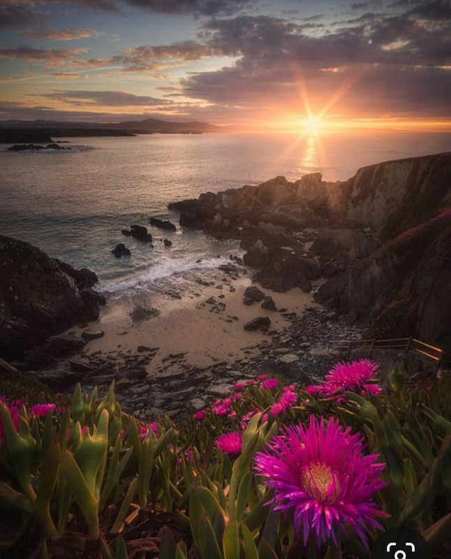 Screenshot_20231104_215033_Pinterest