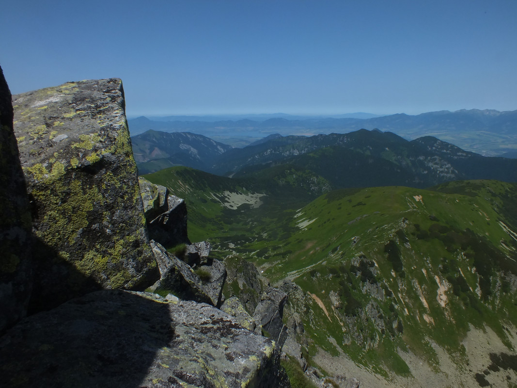 2019_0630DUMBIER0103