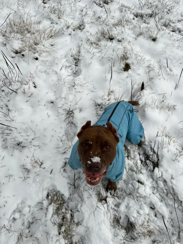 1496F368-3994-4724-9965-7778C3525DF7