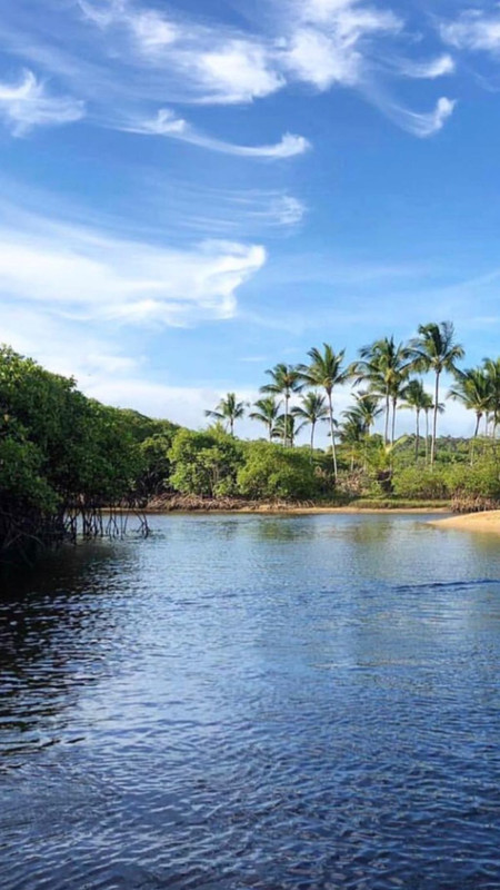 angelcandices~1555957397~2027841018548125343_43114731