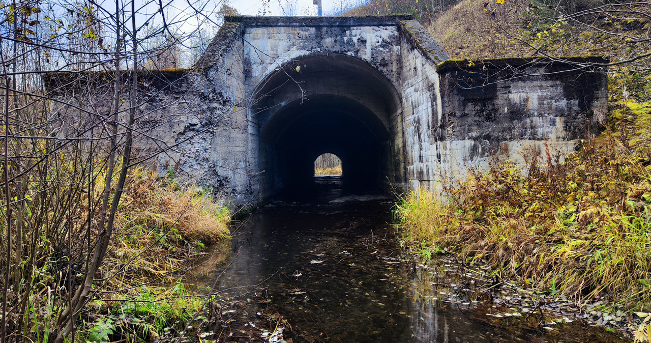 PA061940a.jpg