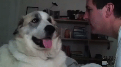 mHOFc1.gif