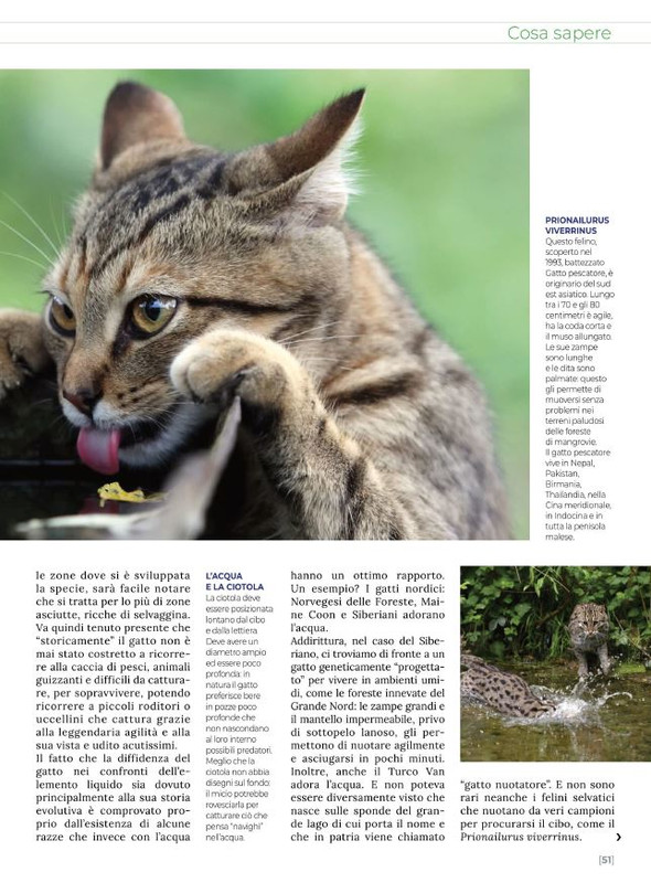 Ga Ma Ago-Set 2022 (10)