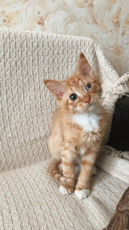 04174C87-18E8-4BE6-AE86-524CA46433FC