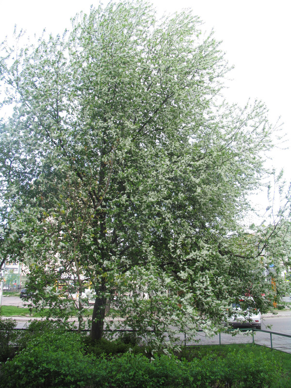 12 апреля 2024 002