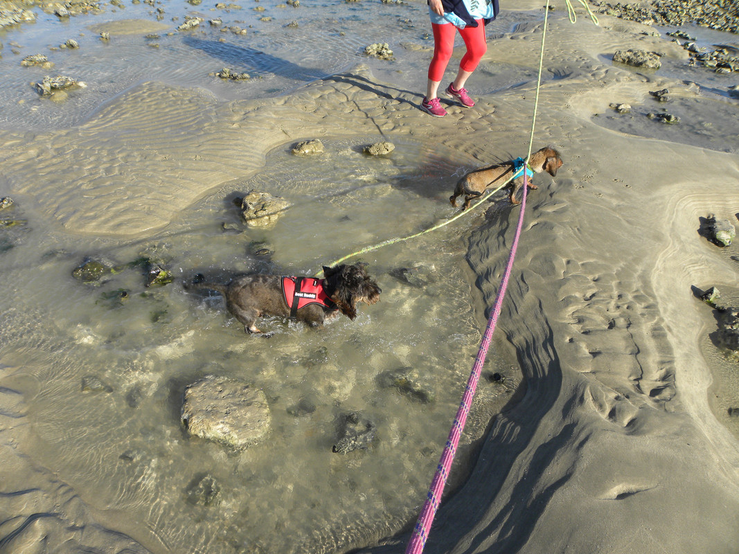 [Image: DSCN9544.jpg]