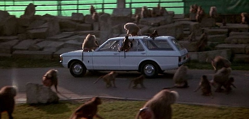OMEN-BABOONS-FOTOR-1.jpg