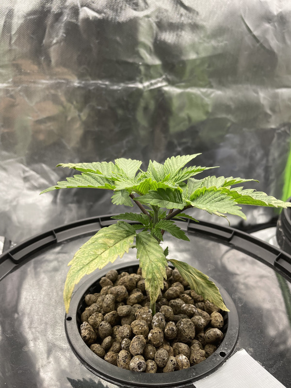 8F304F84-0497-41A1-90E1-498C3C2C1B89