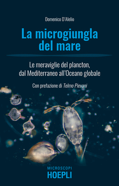 Domenico D’Alelio – La microgiungla del mare (2020)