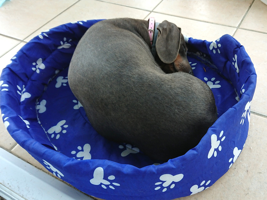 [Image: DSC-3085.jpg]