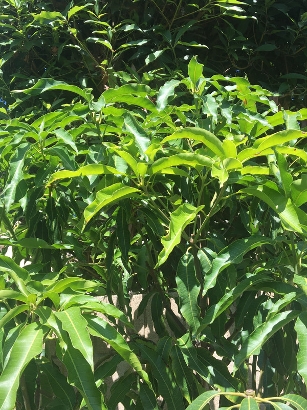 E7ED1298-0D9B-4D9A-B2D9-9B596C32EA23