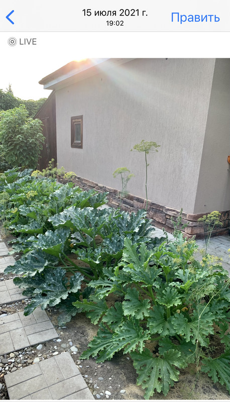 74426950-74CA-411E-9694-FD8A3D2F9F5A