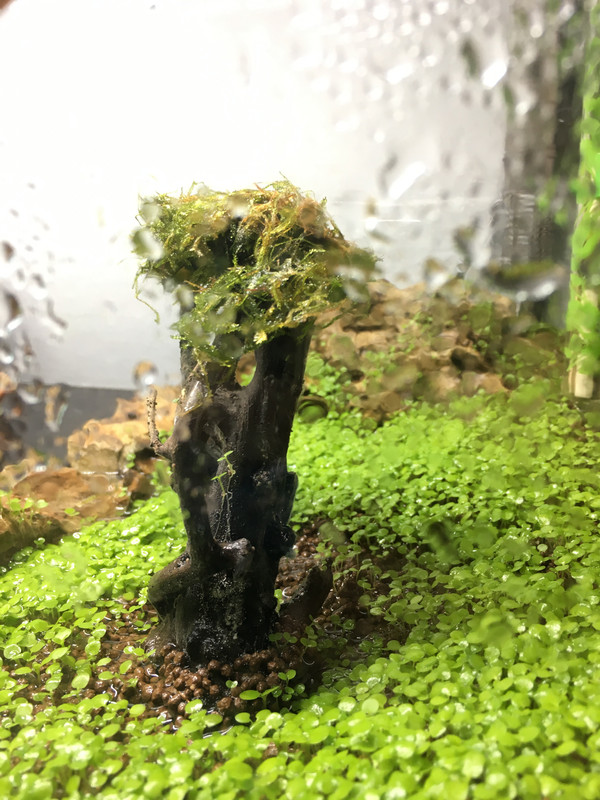 CC0B799A-4873-469C-AFCF-9FE96D1372ED