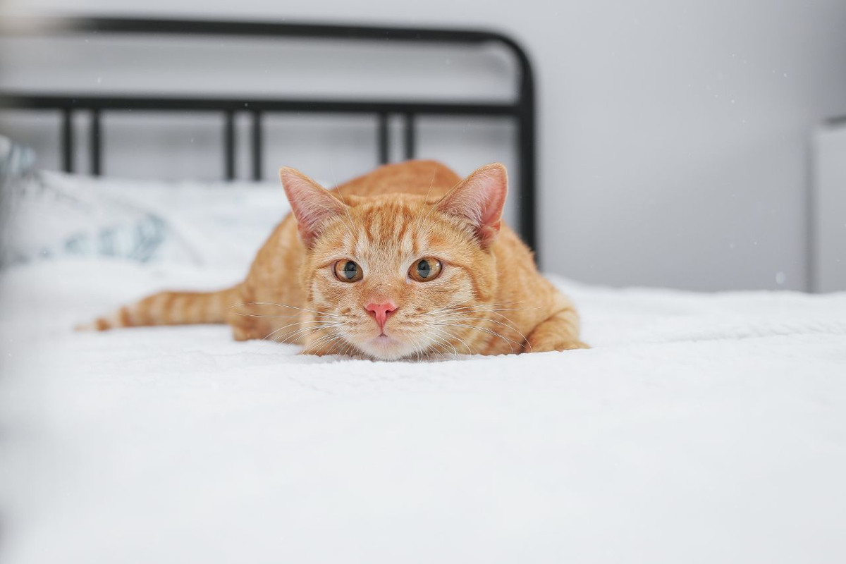 photo_2023-08-17_17-54-37 (2)