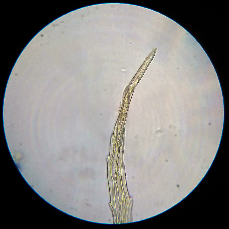 IMG 20250614 122850 HDR