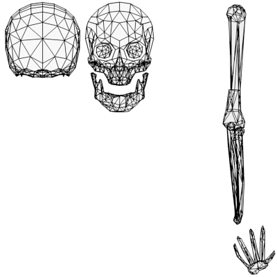 scudo-rigged-skeleton-Upng