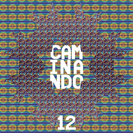 Various Artists - Caminando 12 (2021)
