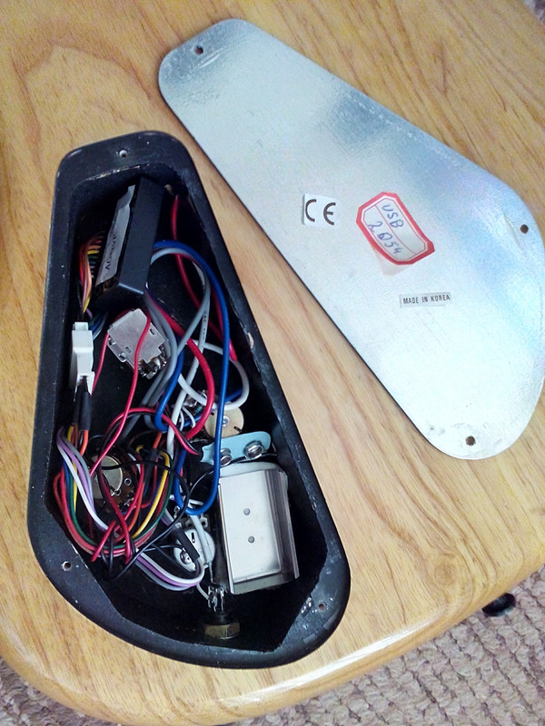 IMG_20160801_190442_1