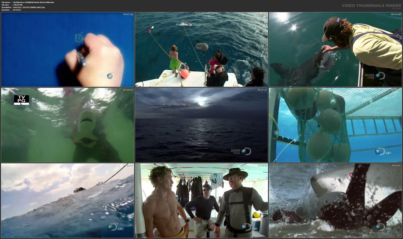 MythBusters S2008E08 Shark Week 2008.mkv