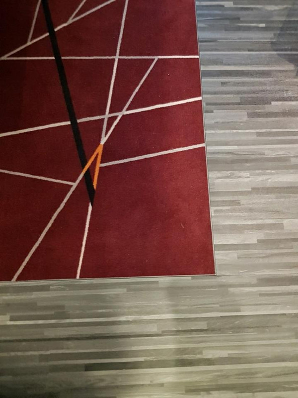 29187108_925472210947142_7769573457389420544_n
