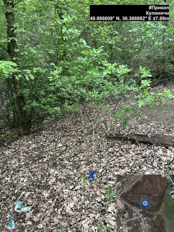 photo 7 2025 12 17 23 07 45