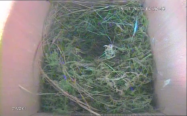 13FA3CD3-40CC-4C38-957B-5964D29E4F7B