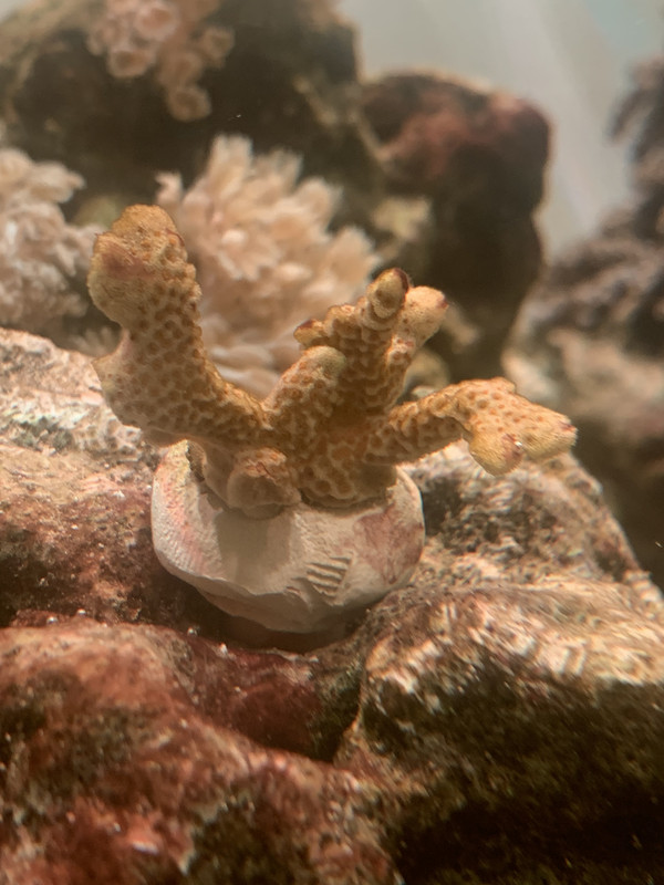 892378F3-C091-4AE5-88E4-D5CF889F629F