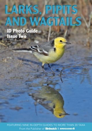 Bird ID Photo Guides – Issue 2, 2022  (True PDF)