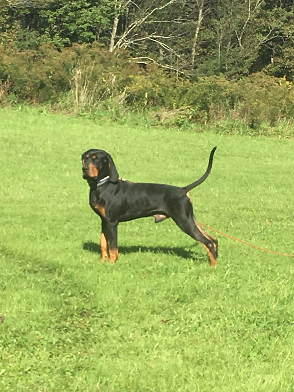 38309CD3-0DED-4108-B216-B30257360284