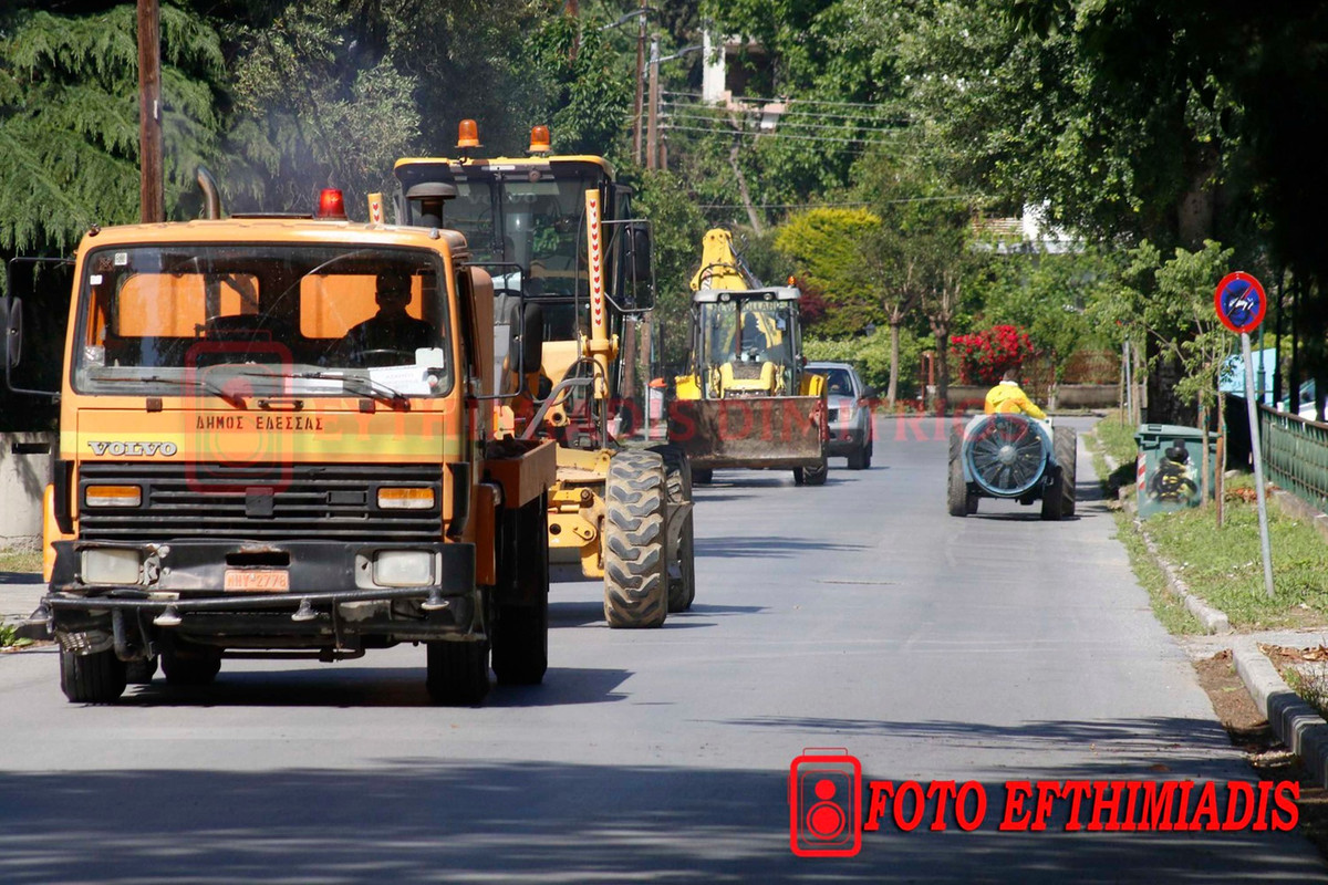 497923579-1453516405628516-6469132553071779056-n