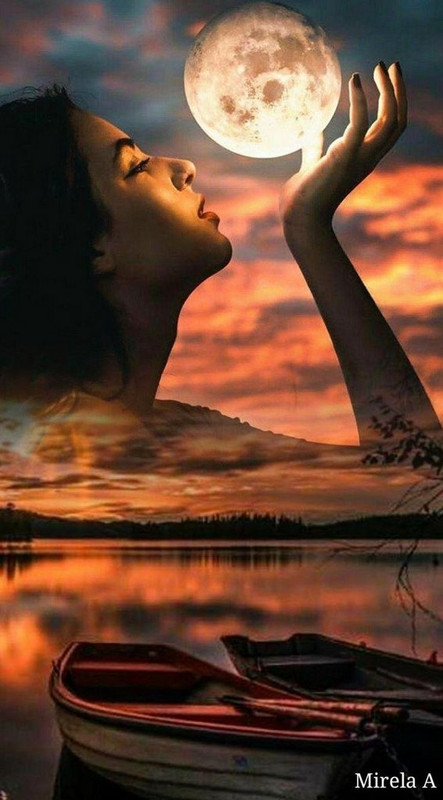 89D0134A-76B1-4803-AF7A-22DC76F7F864